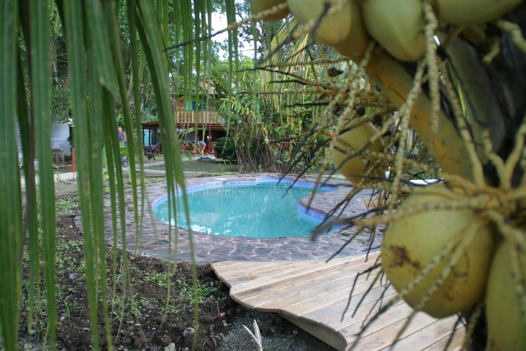 Hakuna Matata Hostel Cahuita Eksteriør bilde