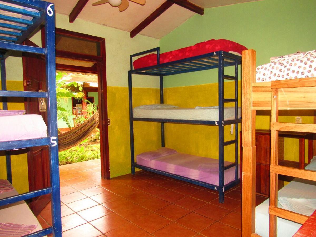 Hakuna Matata Hostel Cahuita Eksteriør bilde