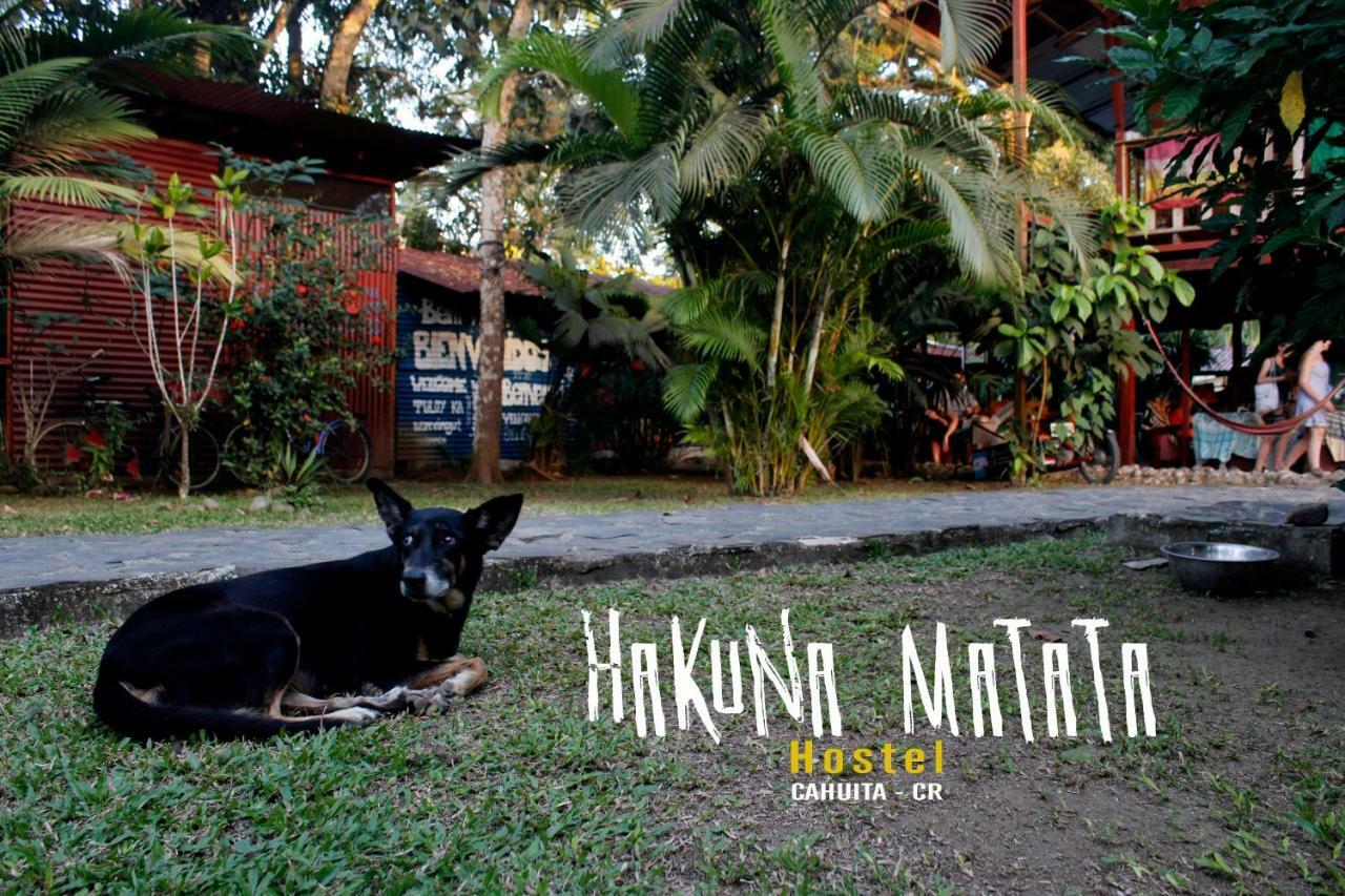 Hakuna Matata Hostel Cahuita Eksteriør bilde
