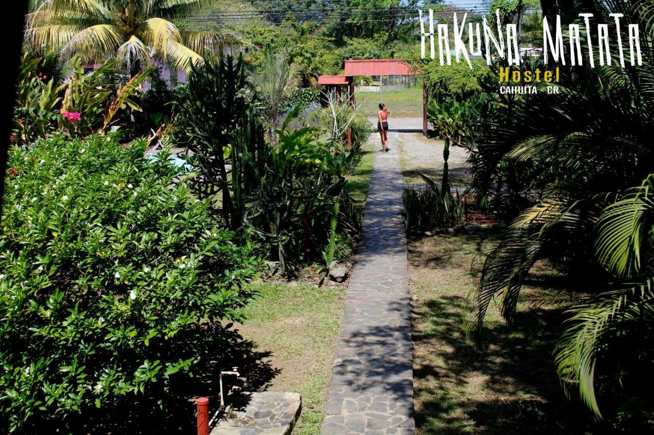 Hakuna Matata Hostel Cahuita Eksteriør bilde